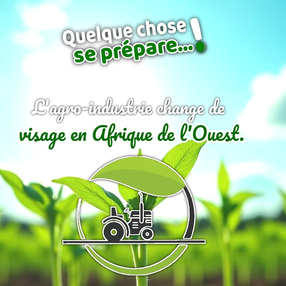 Réalisation
